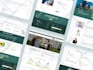 redesign, revamp, redo, copy or clone wordpress website