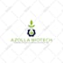 design minimalist logo and brand identity for your business