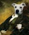 make custom pet portrait, historical cat dog animal portrait