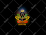 create logo design in 24hrs