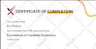 develop and customize wordpress lms website with learndash