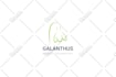 design unique and creative flat minimalist logo design