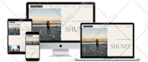 design, redesign, or clone wordpress website using elementor