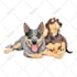 do animals cartoon illustration