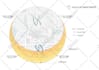 create climate analysis, sun path and wind direction diagrams, site analysis