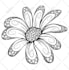 create zentangle,doodle art or tribal pattern