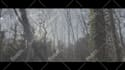 create motion graphics and animation