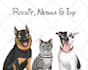 draw pet portrait with disney style