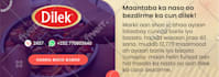 design catalog, magazine, and newsletter