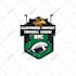 create an amazing football soccer logo