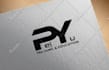 design professional business logo design