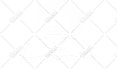 draw your images into vector in a custom styles
