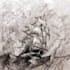 draw a pencil and charcoal portrait for you