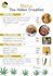 design a creative restaurant menu and digital food menu