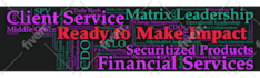 create professional animated word cloud