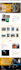 build wordpress website design redesign and website development