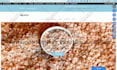 fix wordpress errors wordpress issues