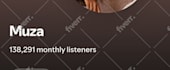 make and run organic ads for your spotify music promotion