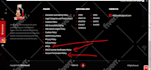 design your wordpress sports website from scratch