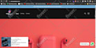 do wordpress error fix and debug