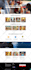 fix wordpress issues, bugs, critical errors and redirect in 1 hour