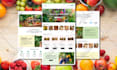 be your dedicated shopify developer and shopify expert