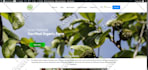 fix wordpress issues, fix wordpress error, wordpress bug fix, fix critical error