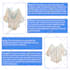 amazon listing images and product listing ,ebc design