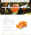 design, redesign, revamp, clone, convert wordpress website using elementor pro