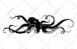draw animal, fish, bird hand drawn vector illustrations