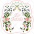 do any redesign and custom graphic design