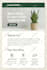 wordpress website development wordpress website design using elementor and divi