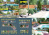 create a landscape design, front yard, backyard, flower bed, pool, park, street