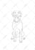 create a custom pet portrait in fine line art, jpg png svg