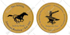 design challenge command coin