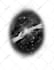 illustrate sketches for your poems or poetry book
