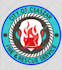 do embroidery digitizing  expert  for logo 3d puff designs