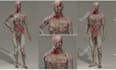 create 3d human or cartoon character for unity, unreal engine