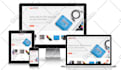 build a professional wordpress ecommerce online store