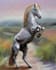 draw pet portrait, dog portrait, cat portrait oil painting