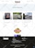 design, redesign, rebuild, revamp or update wordpress elementor pro website