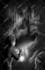 make a black and white sketch