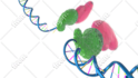 create your 3d medical anatomy scientific biomedical illustration or animation