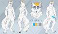 make the reference sheet for your fursona, furry character