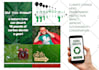 create a moodboard for your creative idea