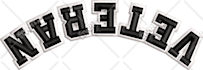 do professional 3d puff embroidery digitizing for hats