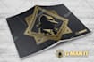 design a professional presentation folder, pocket folder, or corporate folder