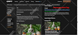 do on page website SEO optimization for shopify, wordpress, and wix