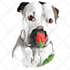 draw any pet photo into simple vector illustration