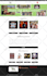 create a professional and responsive custom website